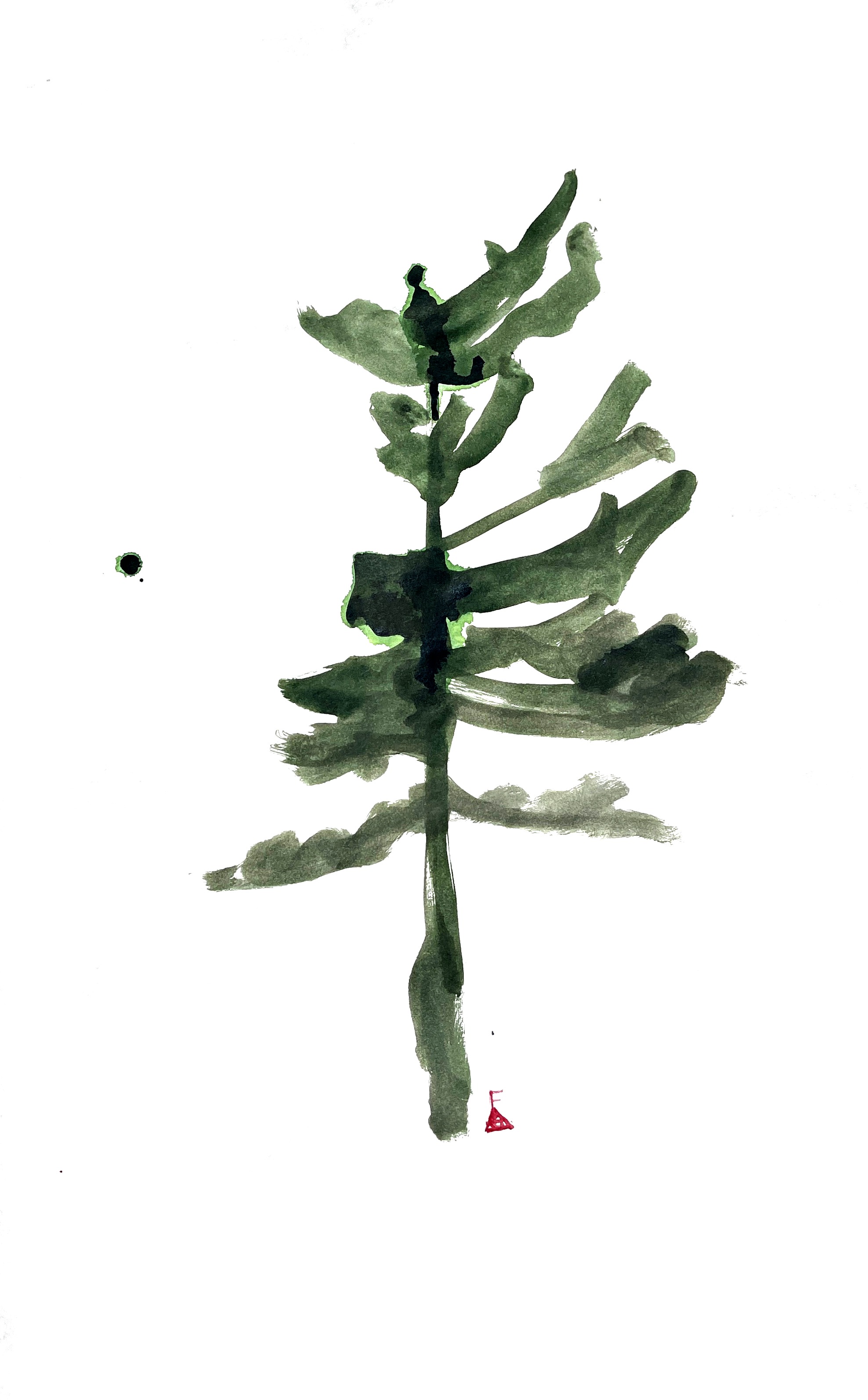 Ink study of a single pine