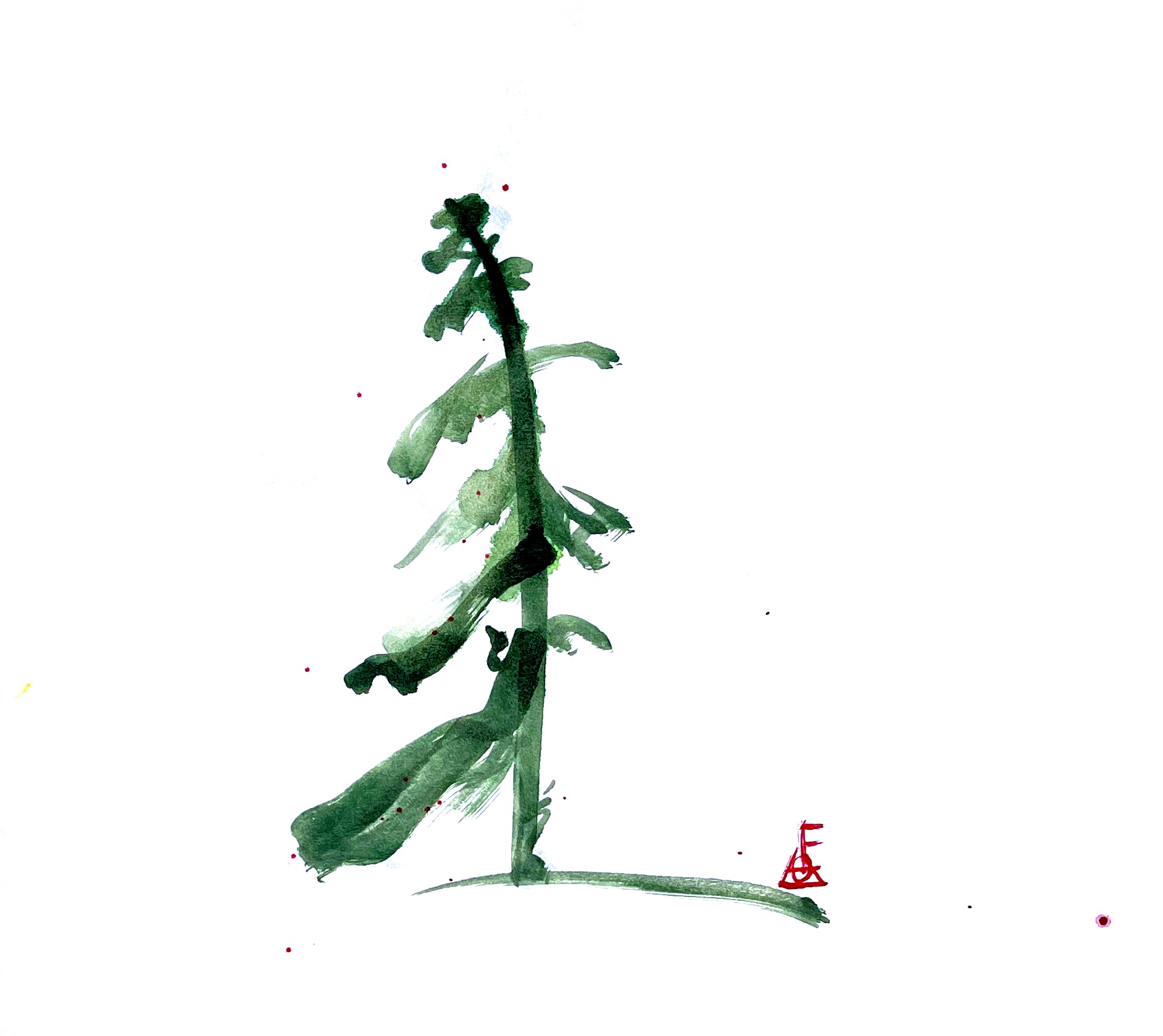 Ink study of a windswept pine