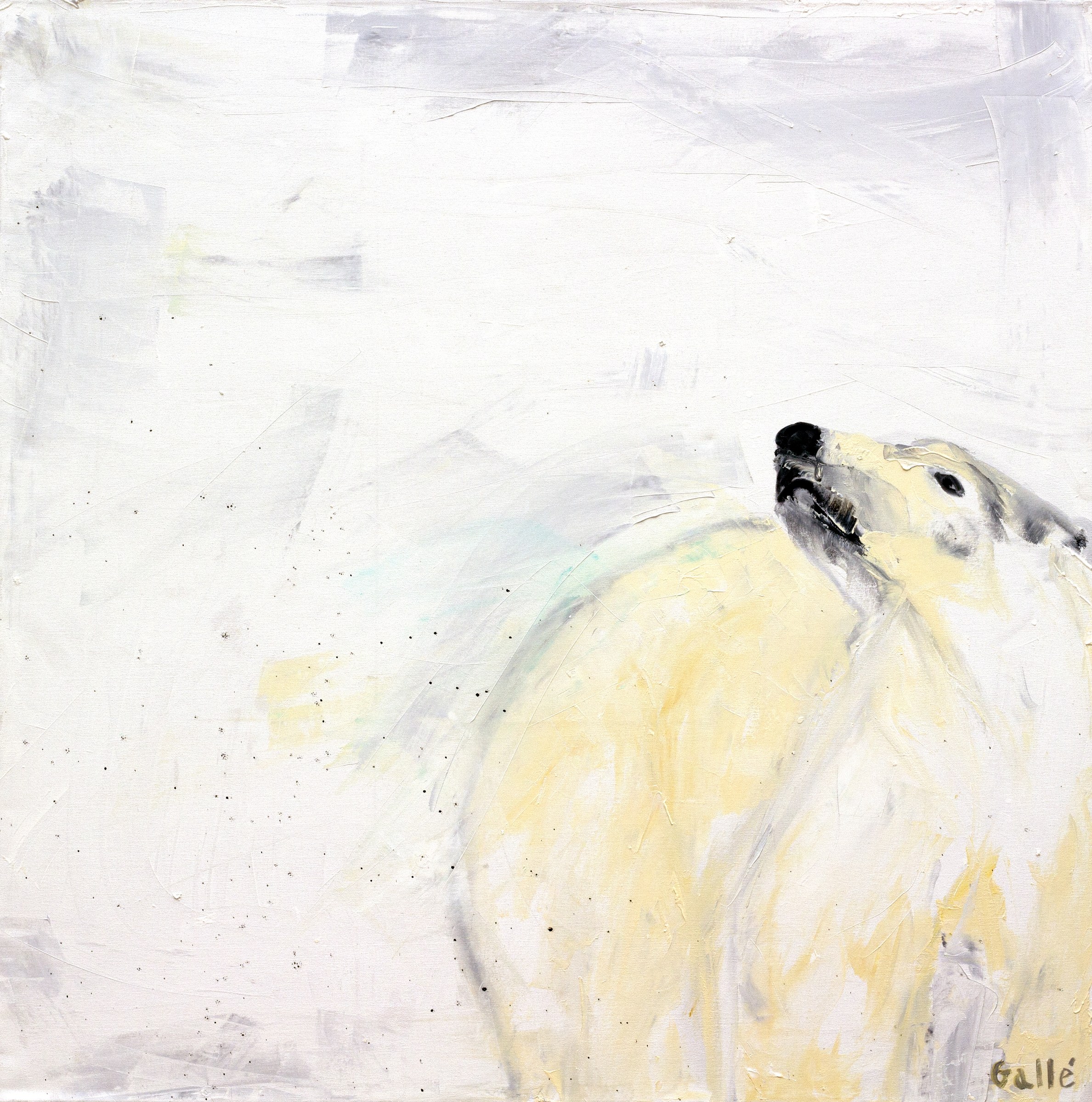 Polar Bear Round by Francesco Gallé